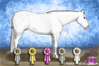 Horse Color:Grullo Roan Appaloosa 