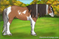 Horse Color:Bay Sabino Splash Tobiano 
