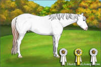 Horse Color:White Spotted Sable Champagne Appaloosa 