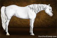 Horse Color:Palomino Snowcap 