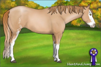 Horse Color:White Spotted Chestnut Pearl Splash 