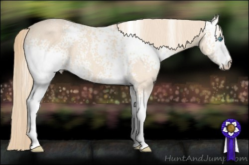 Horse Color: White Spotted Perlino 