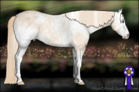 Horse Color:White Spotted Perlino 