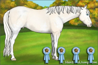 Horse Color:White Spotted Silver Buckskin Pearl Dun 
