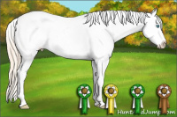 Horse Color:White Spotted Perlino Appaloosa 