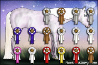 Horse Color:White Spotted Smoky Grullo Pearl Appaloosa 