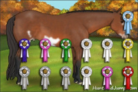Horse Color:Bay Frame 
