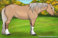 Horse Color:Silver Bay Dun Tobiano 