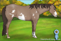 Horse Color:Sable Champagne Frame 