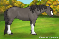 Horse Color:Smoky Grullo