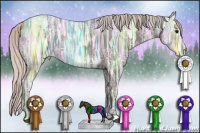 Horse Color:Silver Black Ice