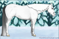 Horse Color:White Spotted Black