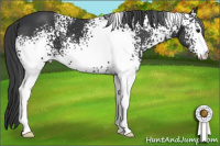 Horse Color:White Spotted Brown 