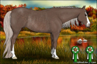 Horse Color:Silver Brown Sabino Rabicano 