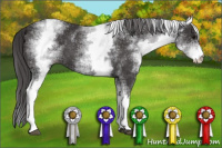 Horse Color:White Spotted Smoky Black