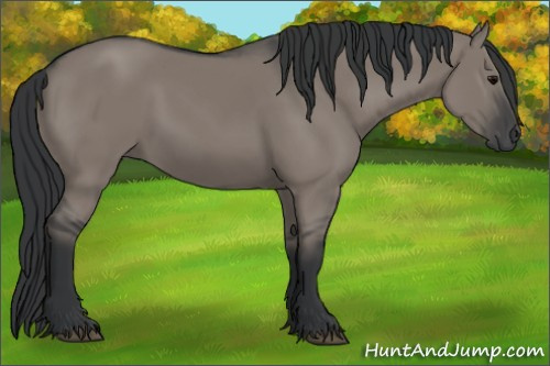 Horse Color: Grullo Rabicano 