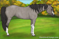 Horse Color:Smoky Grullo Roan 