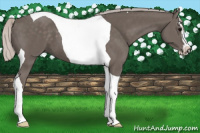 Horse Color:Silver Black Sabino Tobiano 