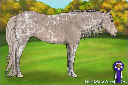 Horse Color: Silver Brown Ice 