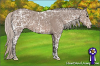 Horse Color:Silver Brown Ice 