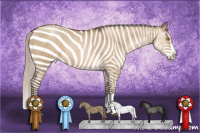 Horse Color:Gray Silver Grullo Pearl Sabino Splash 