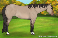 Horse Color:Bay Dun
