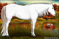 Horse Color:Red Dun Varnish 