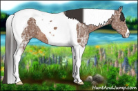Horse Color:Bay Ice Tobiano 