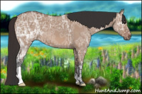 Horse Color:Bay Ice Roan Dun 
