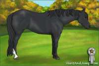Horse Color:Black Sabino Tobiano