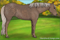 Horse Color:Silver Black 