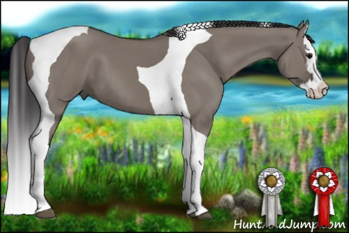Horse Color: Smoky Grullo Splash Tobiano 