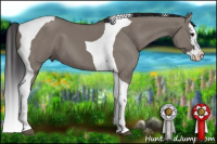 Horse Color:Smoky Grullo Splash Tobiano 