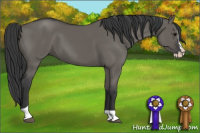 Horse Color:Grullo Splash Tobiano