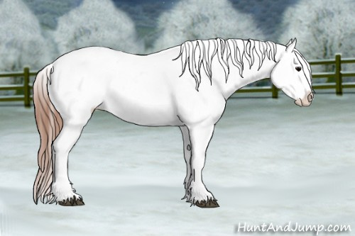 Horse Color: Black Splash Tobiano Varnish 