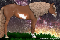 Horse Color:Liver Chestnut Frame