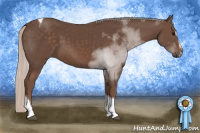 Horse Color:Silver Black Sabino Tobiano 