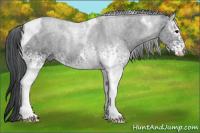 Horse Color:White Spotted Brown Tobiano 