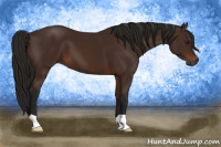 Horse Color:Gray Bay 