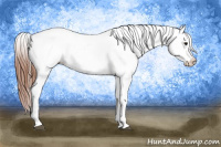 Horse Color:Bay Roan Splash Varnish 