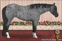 Horse Color:Brown Roan 