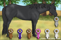 Horse Color:Brown 