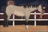 Horse Color:Bay Dun