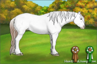 Horse Color:White Spotted Bay Splash Tobiano Appaloosa 