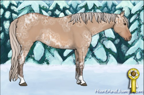 Horse Color: Silver Bay Ice Dun Tobiano Rabicano 