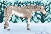 Horse Color:White Spotted Silver Grullo Ice Sabino Frame 