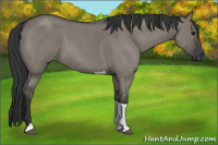Horse Color:Grullo Roan Tobiano