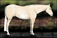 Horse Color:Silver Smoky Black Pearl Frame 