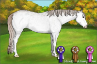 Horse Color:White Spotted Silver Brown