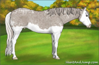Horse Color:Silver Grullo Ice Splash